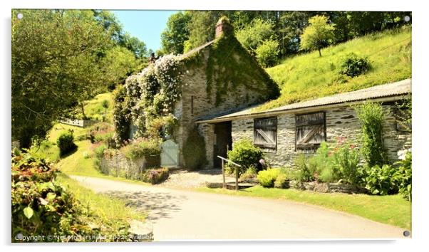 Cornish Cottage At Pont. Acrylic by Neil Mottershead