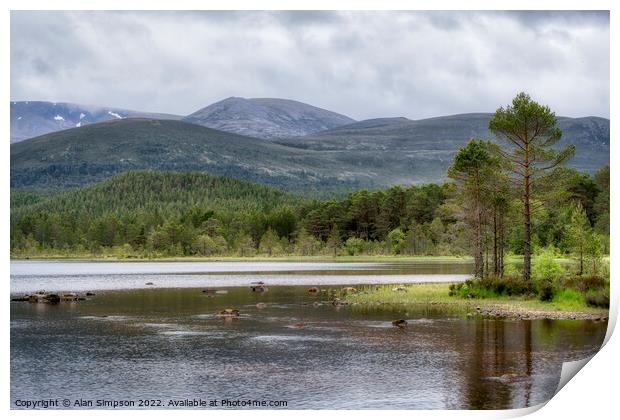 Loch Morlich Print by Alan Simpson