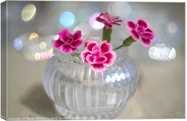 Dianthus In Glass Votive Canvas Print by Alison Chambers