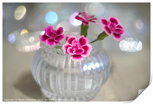 Dianthus In Glass Votive Print by Alison Chambers