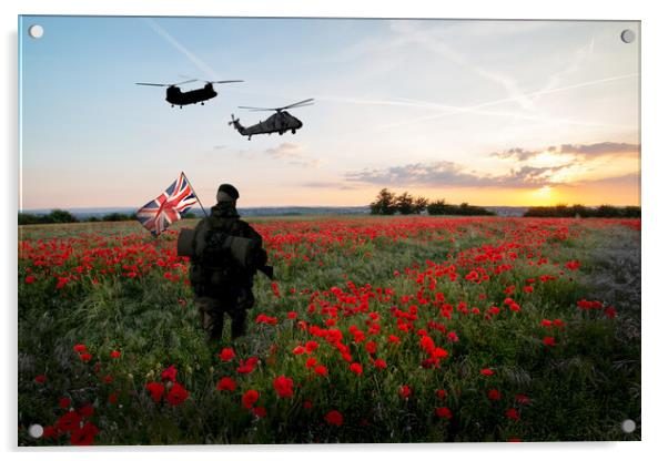 The Falklands War Tribute Acrylic by J Biggadike
