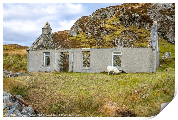 Derelict Cottage with a grazing sheep on the Isle of Harris, Scotland Print by Dave Collins