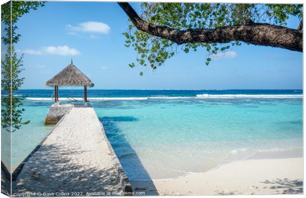 A place to hang out -  Helengeli Island, Maldives Canvas Print by Dave Collins