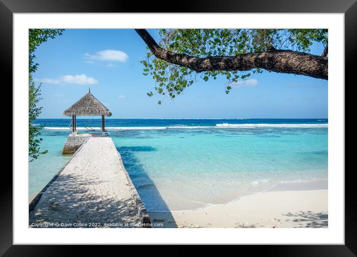 A place to hang out -  Helengeli Island, Maldives Framed Mounted Print by Dave Collins