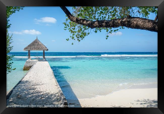 A place to hang out -  Helengeli Island, Maldives Framed Print by Dave Collins