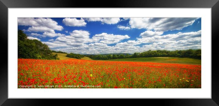 Poppy Panorama in the Garden of England - Kent UK. Framed Mounted Print by John Gilham