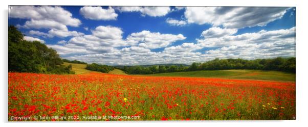 Poppy Panorama in the Garden of England - Kent UK. Acrylic by John Gilham