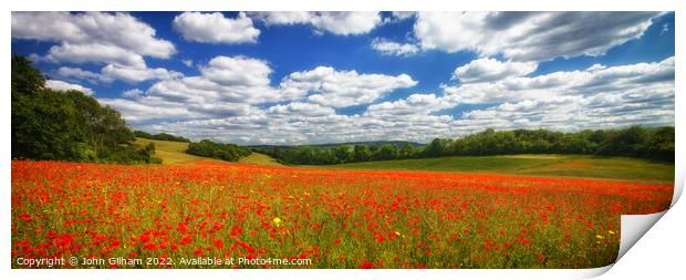 Poppy Panorama in the Garden of England - Kent UK. Print by John Gilham