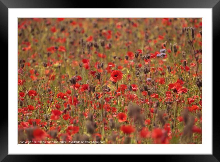 Poppy field Framed Mounted Print by Simon Johnson