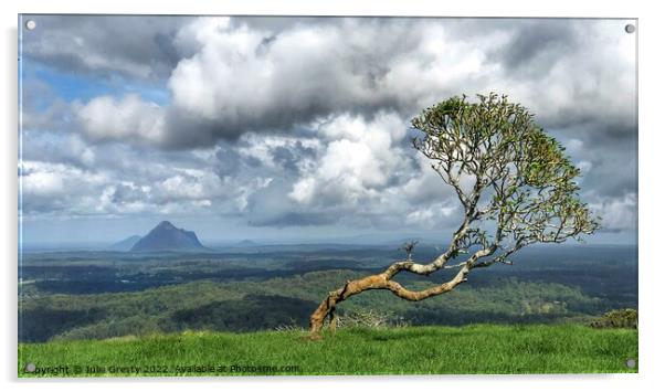 Lone Tree in Glass House Mountains Queensland Acrylic by Julie Gresty