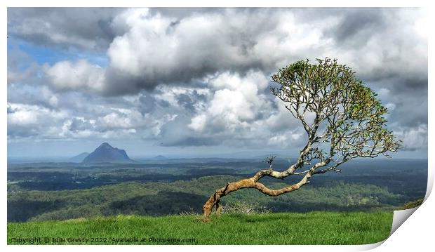 Lone Tree in Glass House Mountains Queensland Print by Julie Gresty