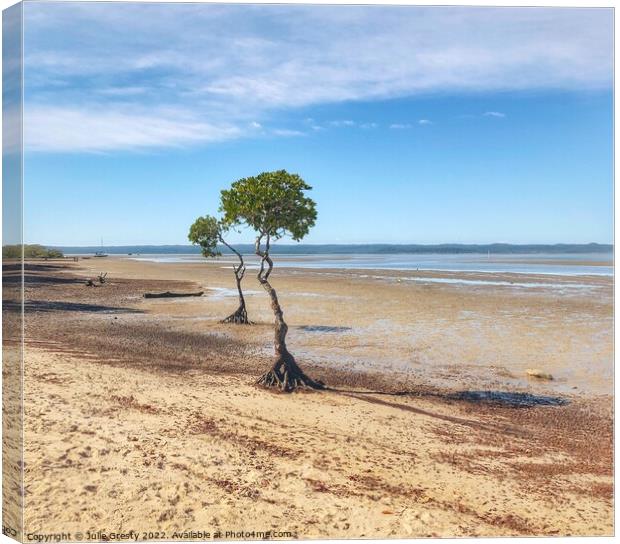 Mangrove Trees on Mud Flats Poona Qld Canvas Print by Julie Gresty