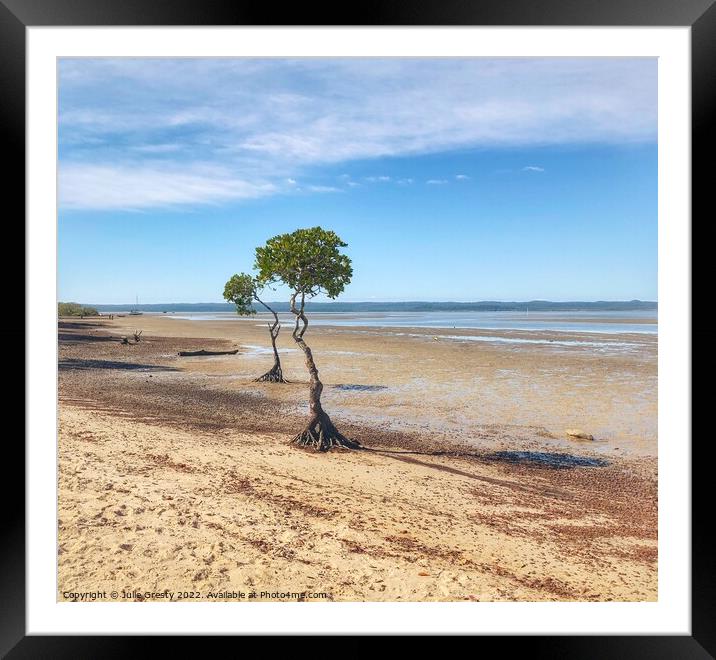 Mangrove Trees on Mud Flats Poona Qld Framed Mounted Print by Julie Gresty