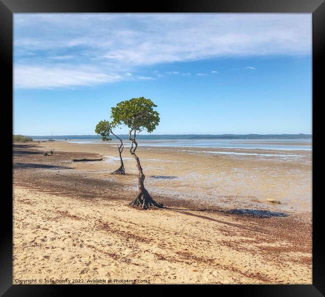 Mangrove Trees on Mud Flats Poona Qld Framed Print by Julie Gresty