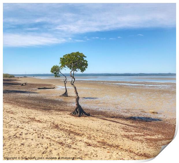 Mangrove Trees on Mud Flats Poona Qld Print by Julie Gresty