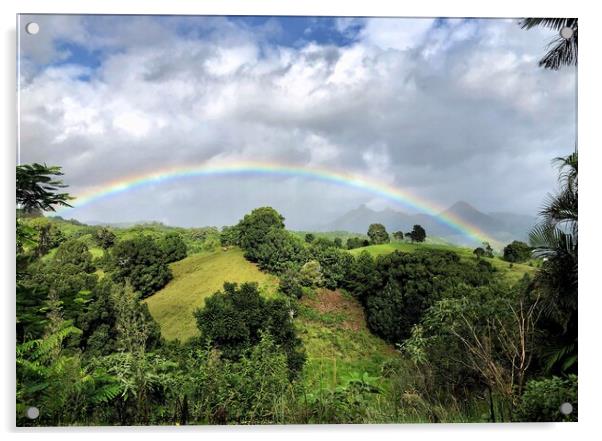 Rainbow over Mount Warning  Acrylic by Julie Gresty