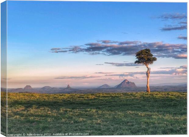 Lone Tree One  Tree Hill Glass House Mountains Que Canvas Print by Julie Gresty