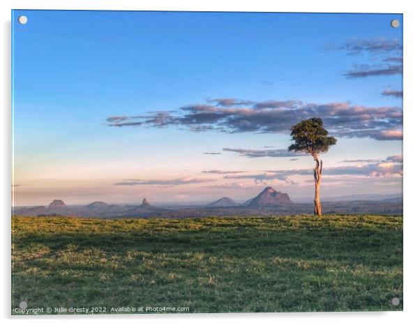 Lone Tree One  Tree Hill Glass House Mountains Que Acrylic by Julie Gresty