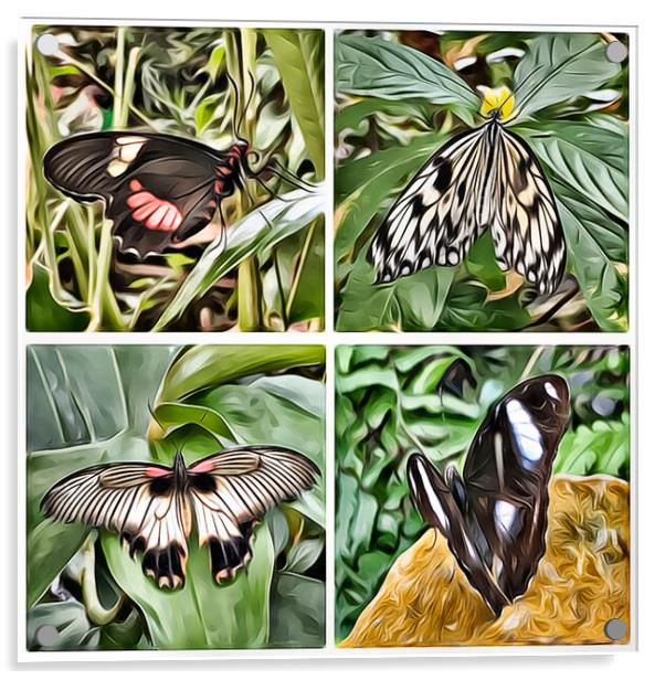 Butterflies 1 (Digital Art Version) Acrylic by Kevin Maughan