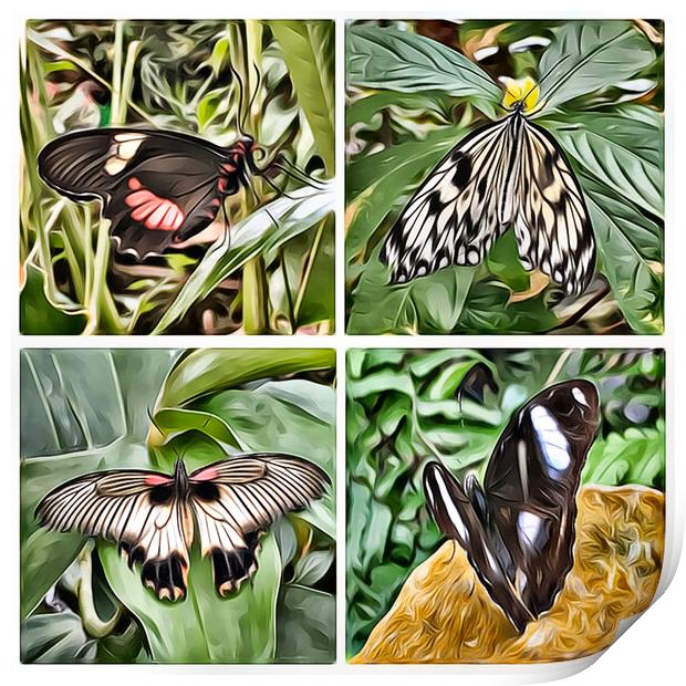 Butterflies 1 (Digital Art Version) Print by Kevin Maughan