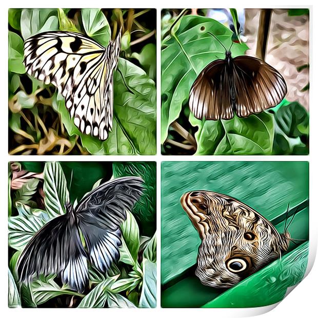 Butterflies 2 (Digital Art Version) Print by Kevin Maughan