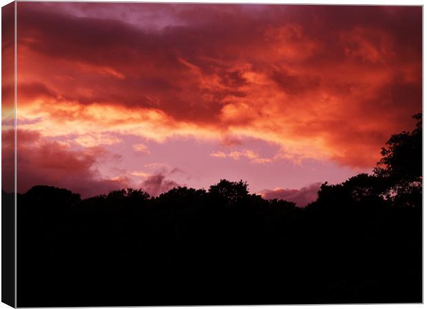 The Red Sky Canvas Print by William Coulthard