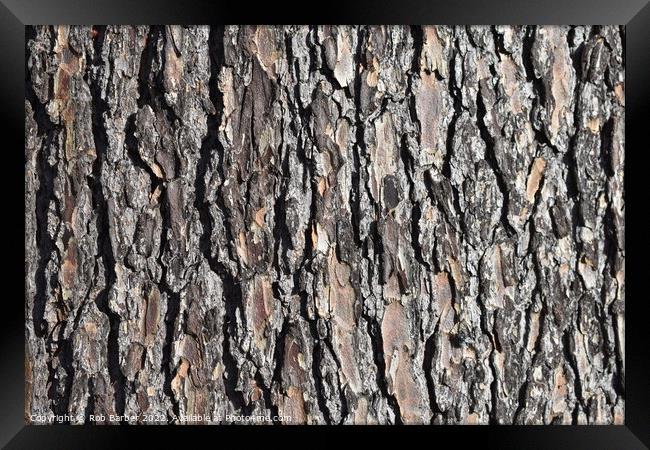 Abstract bark Framed Print by Rob Barber