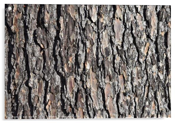 Abstract bark Acrylic by Rob Barber