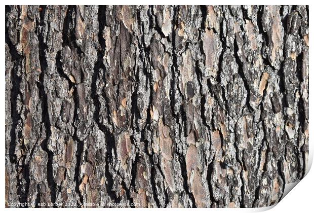 Abstract bark Print by Rob Barber