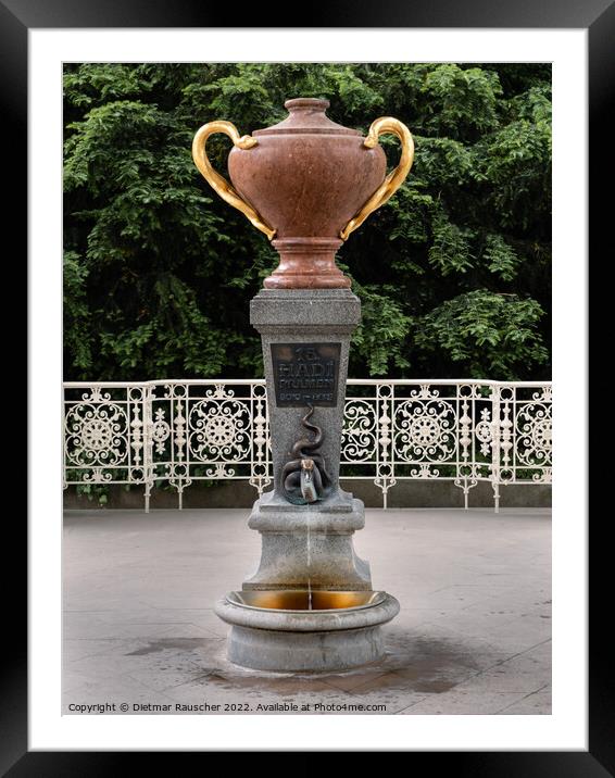 Snake Spring Fountain or No. 15 Hadi Pramen in Karlovy Vary, Cze Framed Mounted Print by Dietmar Rauscher