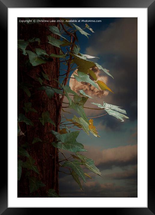 Night Time Magic Framed Mounted Print by Christine Lake