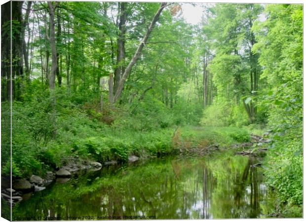 Forest Pond Canvas Print by Stephanie Moore