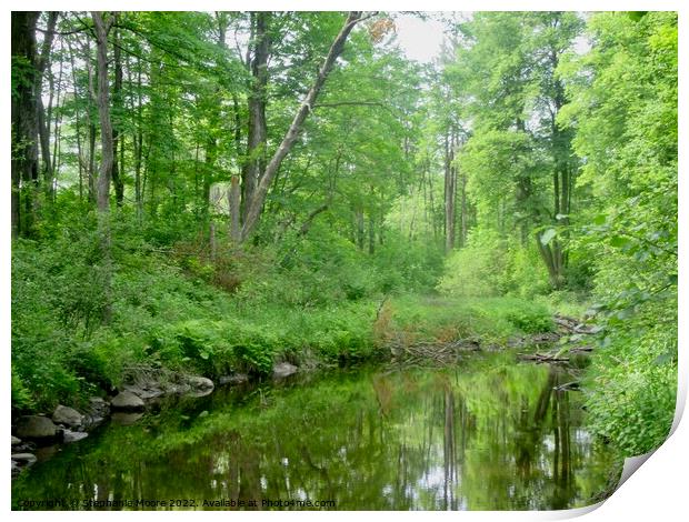 Forest Pond Print by Stephanie Moore