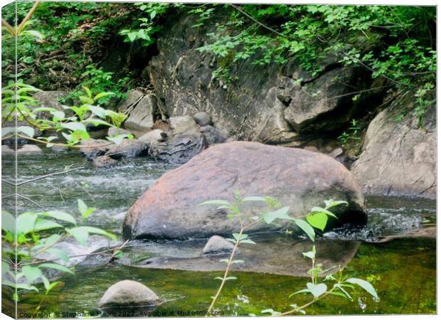 Forest stream Canvas Print by Stephanie Moore