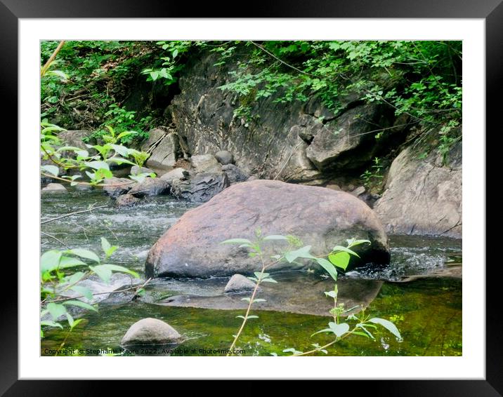 Forest stream Framed Mounted Print by Stephanie Moore