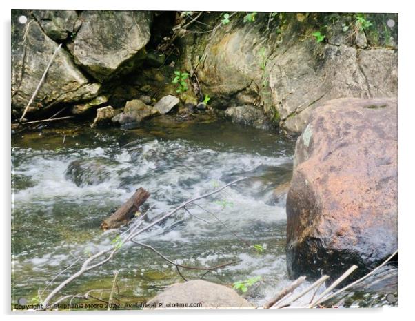 Rushing forest stream Acrylic by Stephanie Moore