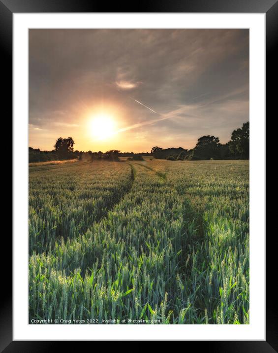Field Of Wheat At Sunset Framed Mounted Print by Craig Yates