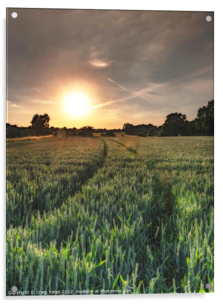 Field Of Wheat At Sunset Acrylic by Craig Yates