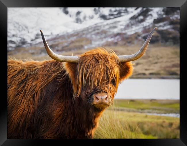 Highland Cow Framed Print by Don  Lumsden 