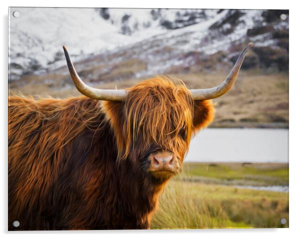 Highland Cow Acrylic by Don  Lumsden 