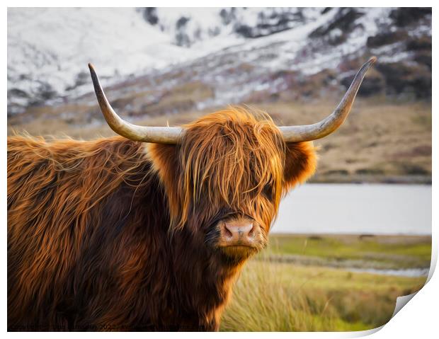 Highland Cow Print by Don  Lumsden 