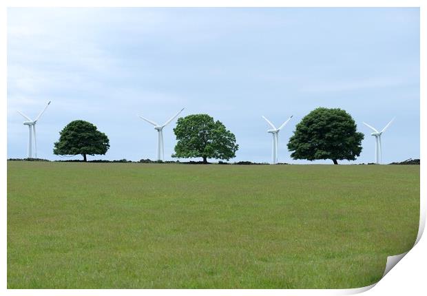 Windmills between the trees Print by Roy Hinchliffe