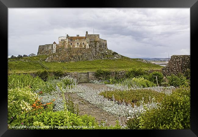 Lindisfarne Castle Framed Print by Lynne Morris (Lswpp)