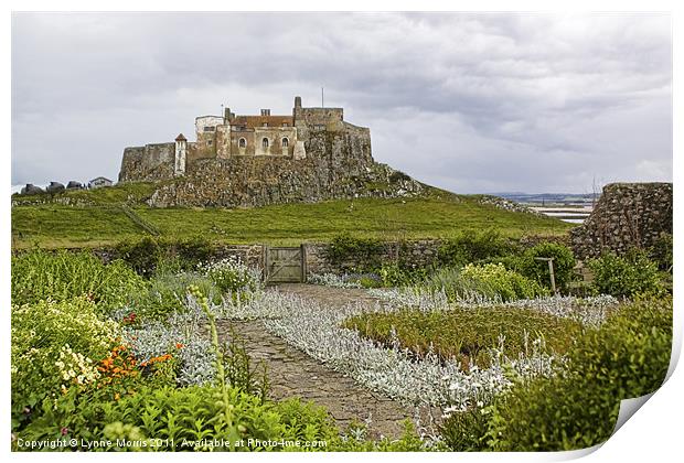 Lindisfarne Castle Print by Lynne Morris (Lswpp)