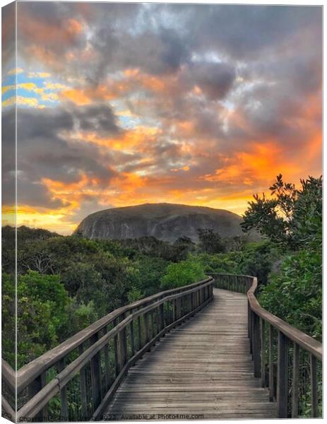 Stormy Sunset over Mount Coolum Canvas Print by Julie Gresty