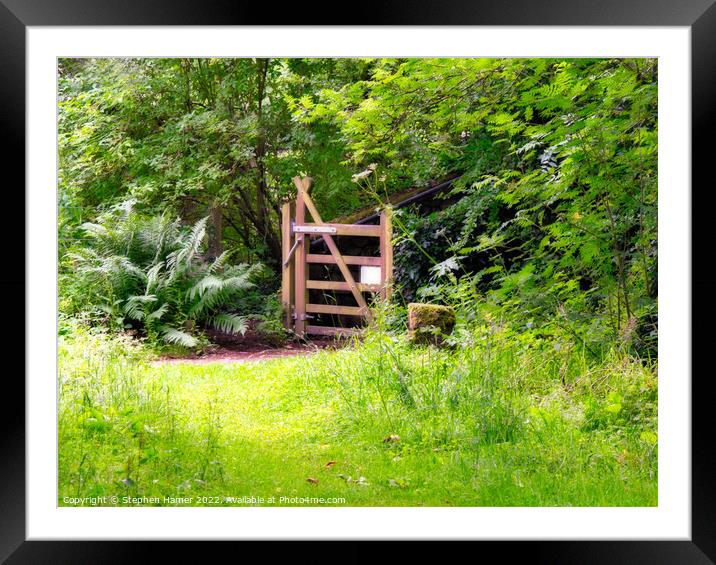 Enchanted Dartmoor Pathway Framed Mounted Print by Stephen Hamer