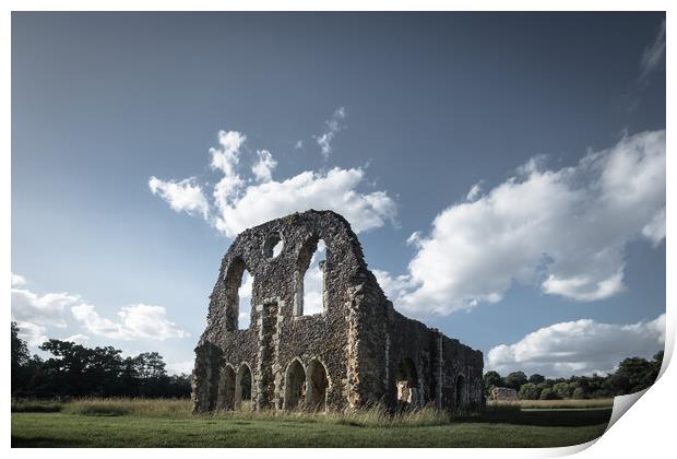 Waverley Abbey Print by Mark Jones