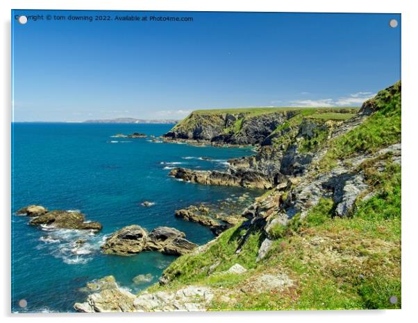 Rugged Cornwall Coast Acrylic by tom downing