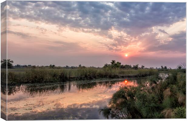 Sun Rising on the Okavango Delta Canvas Print by Belinda Greb