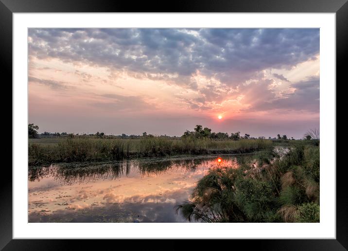 Sun Rising on the Okavango Delta Framed Mounted Print by Belinda Greb
